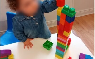 Birthday Cake and Playful Fun