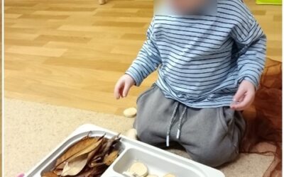 Autumn Learning and Sensory Fun